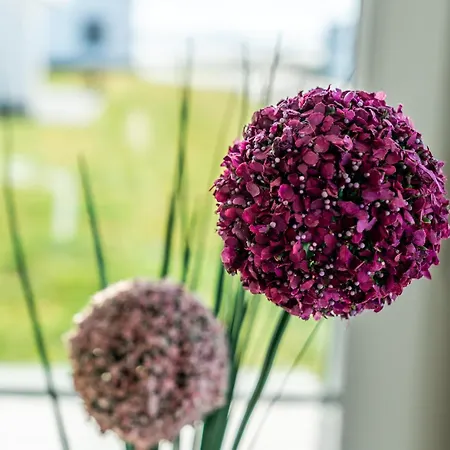 Hangar 19 Superior Mit Terrasse Und Garten H1w2 Schwerin (Mecklenburg-Vorpommern)