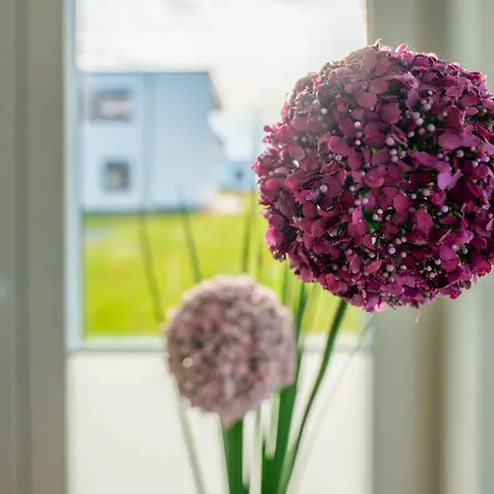 Apartment Hangar 19 Superior Mit Terrasse Und Garten H1w2 Schwerin (Mecklenburg-Vorpommern)